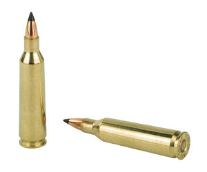 NOSLER VG 22-250 55GR FB TIP 20/200 — view 4