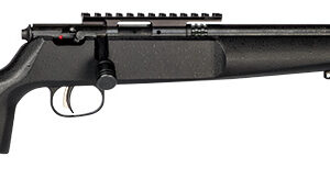 Rascal 22LR Target Rifle 16 1/4" Single
