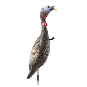 FLEXTONE FUNKY CHICKEN GEN. 2
