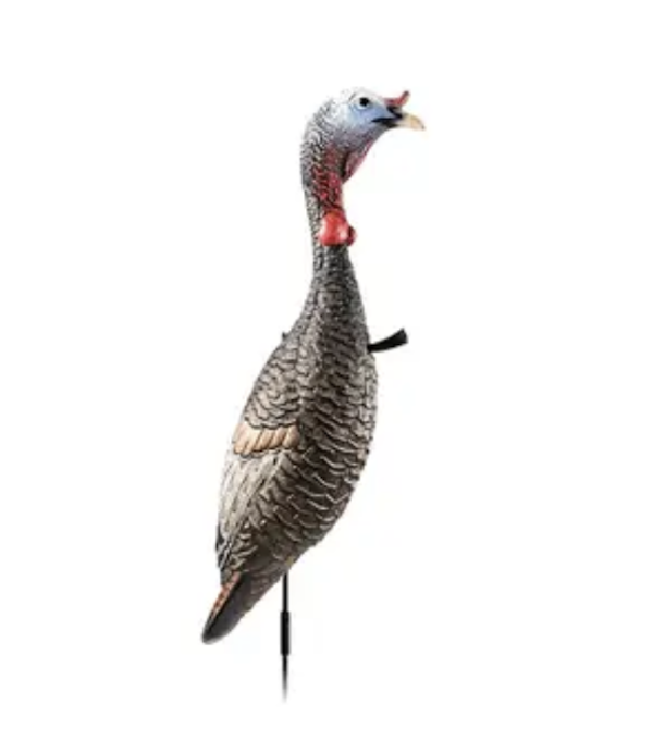 FLEXTONE FUNKY CHICKEN GEN. 2 — view 1