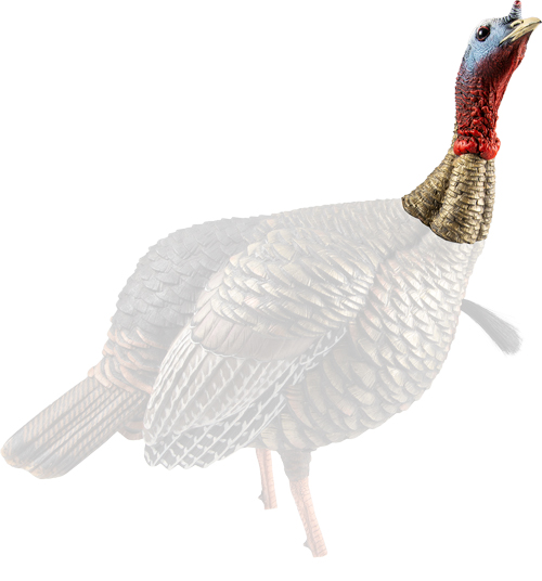AVIAN X HDR JAKE DECOY — view 1