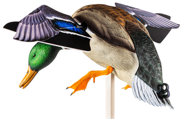 Avian X AVXAVXDP101 PowerFlight  Mallard Spinning Wing Duck Decoy Multi-Color Dual Mode Remote — view 1