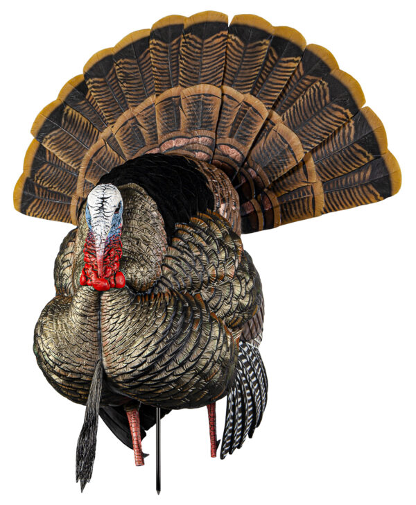 Avian X AVXAVX8108 HDR Strutter Turkey Species Multi Color — view 1