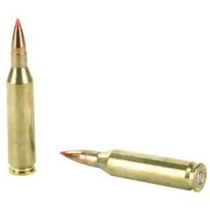 HORNADY SUPERFORMANCE VARMINT AMO 243 WIN 58GR V-MAX SPF 20RD (10 BOX  CASE) — view 3