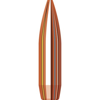 MATCH .22 CALIBER (0.224'') 75GR BTHP 4,000/BOX — view 1