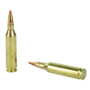 HORNADY SUPERFORMANCE AMO 243 WIN 95GR SST SPF 20RD (10 BOX CASE) — view 3