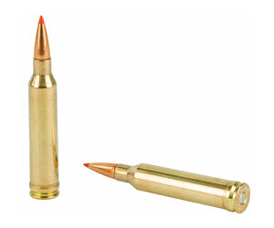 HRNDY SF 7MM MAG 162GR SST 20/200 — view 4