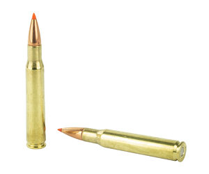 HRNDY SF 30-06 150GR SST 20/200 — view 4