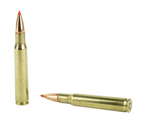 HRNDY SF 30-06 165GR SST 20/200 — view 4