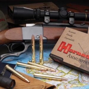 HORNADY 9.3x74R 286GR SP-RP - 20RD 6BX/CS — view 2