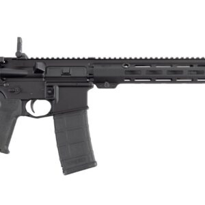 EPR-II Pro 5.56 16.1" Magpul Moe K2 Blk 30rd