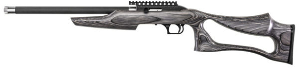 MR SWITCHBOLT 22LR 17 GRAPHITE PEPPER LAM — view 1