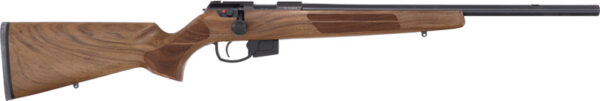 ANSCHUTZ 1761 D HB 17HMR - 20" BLUED/WALNUT CLASSIC — view 1