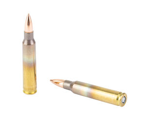 FED AM EAGLE 556NATO 55GR FMJ 20/500 — view 4