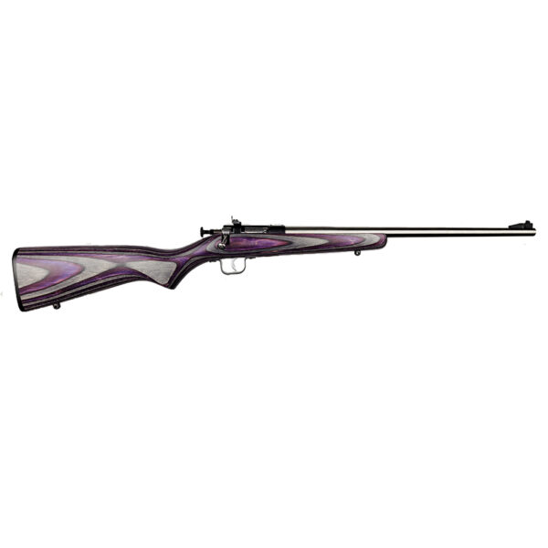 KEYSTONE SPORTING ARMS CRICKETT 22LR SS/PURPLE LAM — view 1