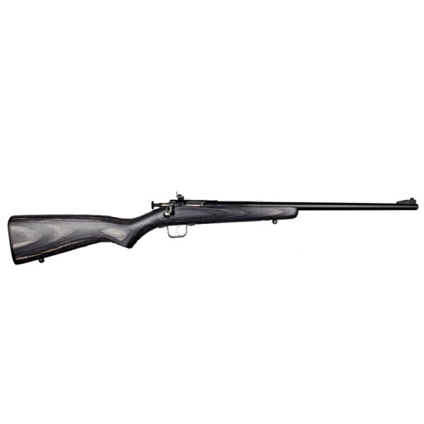 KEYSTONE SPORTING ARMS CRICKETT 22LR BL/BLACK LAM — view 1