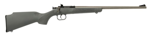 KEYSTONE SPORTING ARMS CRICKETT 22LR SS/GRY — view 1