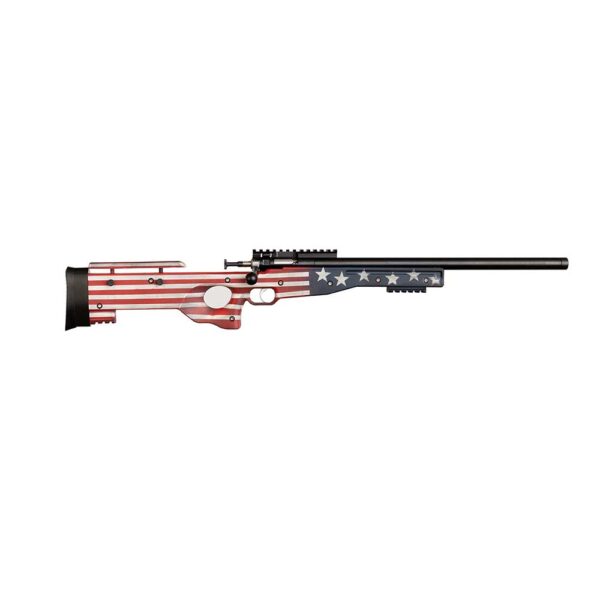 KEYSTONE SPORTING ARMS CRICKETT CPR 22LR OLD GLORY — view 1
