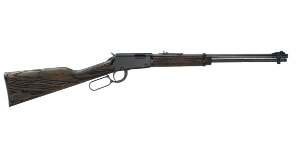 HENRY REPEATING ARMS H1 GARDEN GUN 22LR BL/WD — view 1