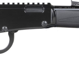 HEN X MODEL LVR 22LR