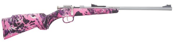 HENRY REPEATING ARMS H5 MINI BOLT G2 22LR SS/MUDDY — view 1