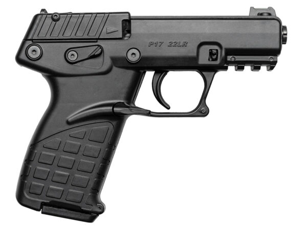 P17 22LR 3.93" Black 16rd — view 1