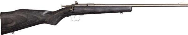 CHIPMUNK RIFLE 22LR - STAINLESS/BLACK LAMINATE — view 1
