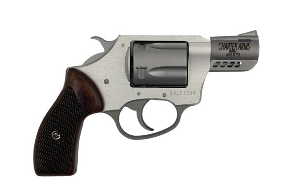 CHARTER ARMS COYOTE 380ACP SS 2" 5RD — view 1