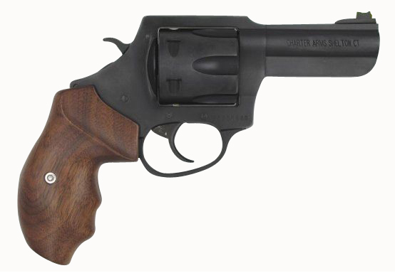 CHARTER ARMS THE PROFESSIONAL 357MAG 4.2" — view 1