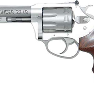 Char Pathfinder 22LR 4.2" Anod/SS 8rd