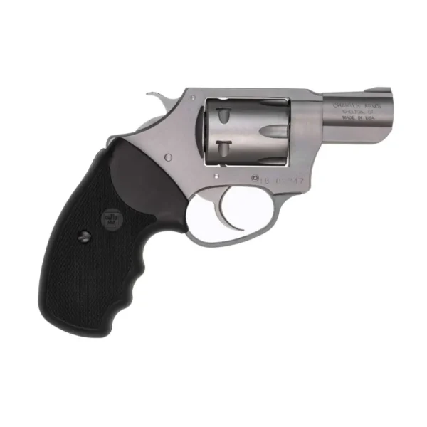CHARTER ARMS PATHFINDER HGR 22WMR 2" BBL SS 6/RD — view 1