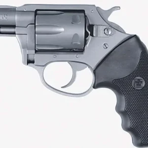 CHARTER ARMS PATHFINDER HGR 22WMR 2" BBL SS 6/RD — view 2