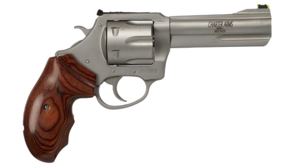 CHARTER ARMS THE PROFESSIONAL 357MAG SS — view 1