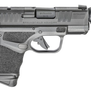 Hellcat RDP WO/Optic 9MM 3.8" MS 10RD