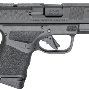 Hellcat Micro Compact 380ACP 3" Blk 1/11 1/13