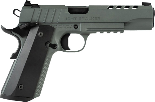 TISAS 1911 NIGHT STALKER 45ACP - 5" BBL 2-8RD MAGS GREY — view 1