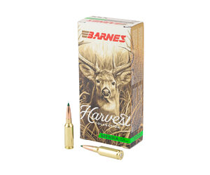 BARNES HARV ST 6MM ARC 100GR 20/200