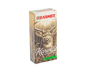 BARNES HARV ST 6MM ARC 100GR 20/200 — view 2