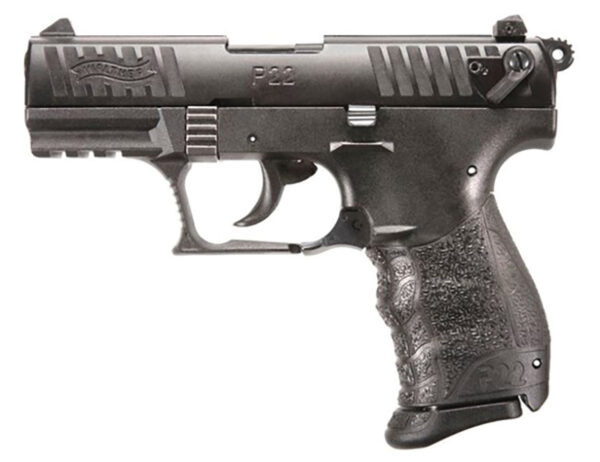 P22Q 22lr Blk 10rd — view 1