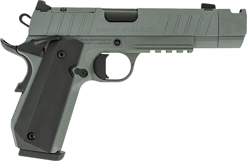 TISAS 1911 B45BA NSSF-C 45ACP - 4.25" BBL 8RD W/ CASE GREY — view 1
