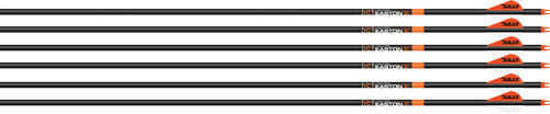 EASTON ARROW 6.5MM BOWHUNTER - 300 W/2" BULLY VANES 6-PACK — view 1