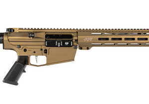APF RAGNAR 308WIN BRONZE 16 MLOK M-4