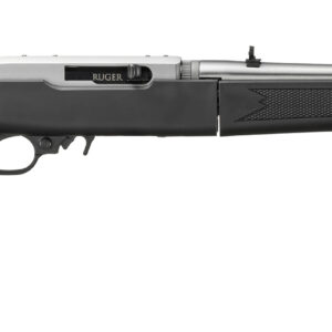 RUGER 10/22 TD 22LR SS/SYN 18.5"