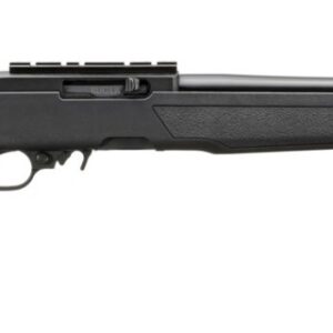 10/22 .22LR 18.5" BX MLOK Blk/Blk 10rd