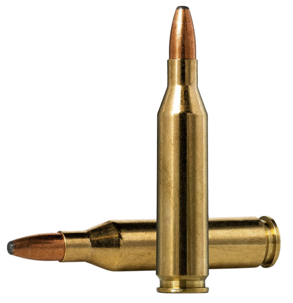 Norma Ammunition 20160332 Oryx  243Win 100gr 20 Per Box/10 Case — view 1