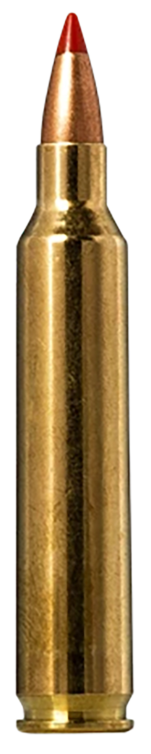 Norma Ammunition 20156502  Tipstrike 204Ruger 40gr V-Max 20 Per Box/10 Case — view 1