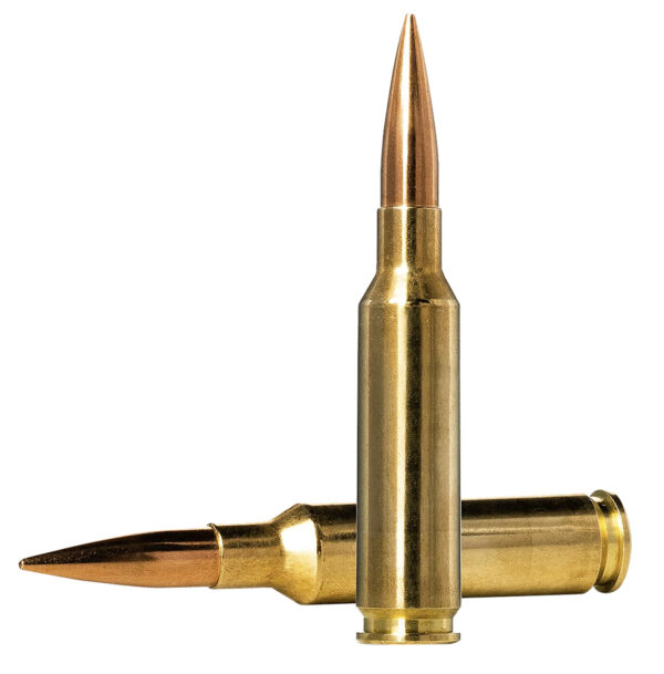Norma Ammunition 10166312 Dedicated Precision Golden Target Match 6.5Creedmoor 130gr Boat Tail Hollow Point 20 Per Box/10 Case — view 1