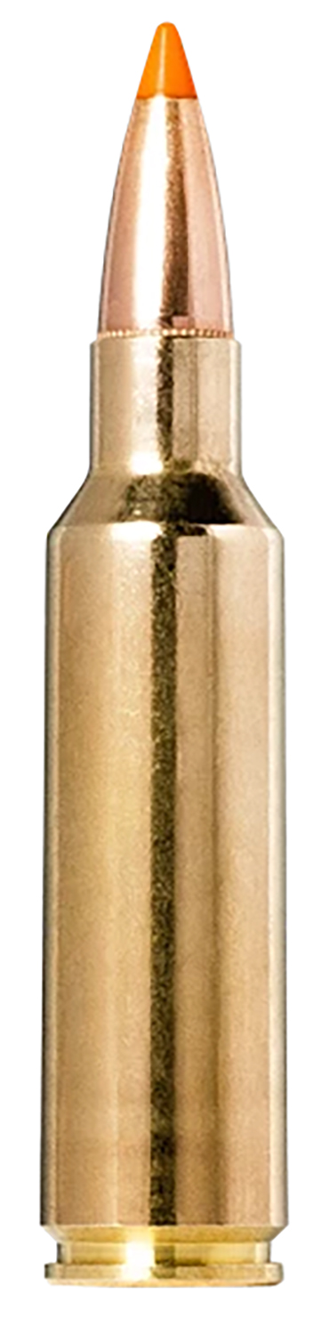Norma Ammunition 20174022  Tipstrike 300WSM 170gr 20 Per Box/10 Case — view 1