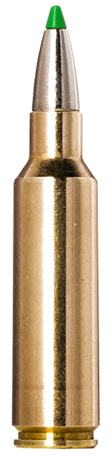 Norma Ammunition 20177512  Ecostrike 300WSM 165gr 20 Per Box/10 Case — view 1