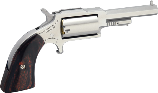 NORTH AMERICAN ARMS SHERIFF 22LR/22MAG 2.5" SS 5SH — view 1